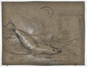 Fiskestudie (tegning) av Stanislas Torrents y de Amat