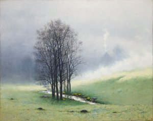 Vårtåke av Stanislaw Ignacy Witkiewicz