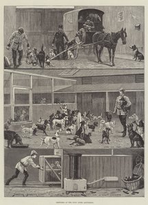 Skisser på hundehjemmet, Battersea