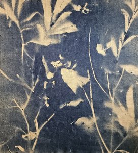 Blå botaniske skygger
