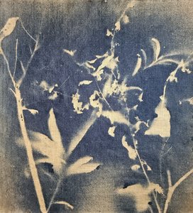 Blå botanisk silhuett av Stefano Mazzolini