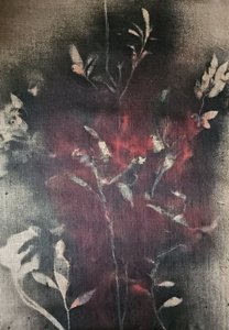 Mørk botanisk glød av Stefano Mazzolini