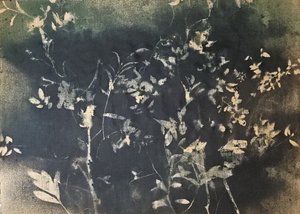 Mørke botaniske silhuetter