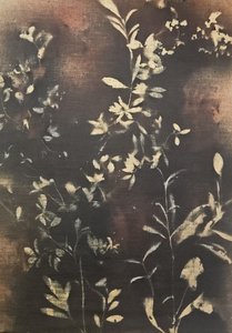 Mørke botaniske silhuetter