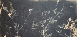 Mørk botanisk studie av Stefano Mazzolini