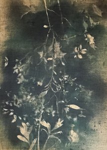 Mørk botanisk studie av Stefano Mazzolini