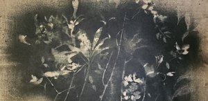 Mørk botanisk studie av Stefano Mazzolini