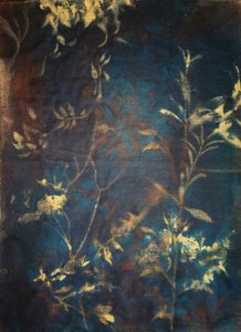 Dypblå botaniske motiver av Stefano Mazzolini