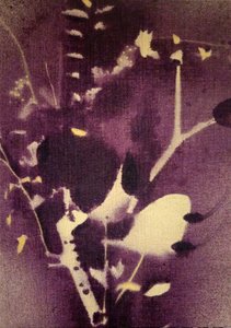 Dyplilla botaniske motiver av Stefano Mazzolini