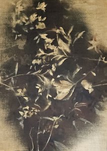 Stemningsfulle blomsterskygger