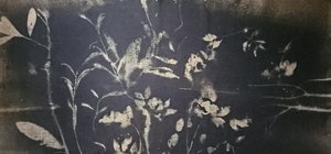 Blomst i skyggehagen