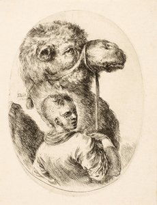 Gutt som holder en kamel ved hodelaget, fra Several Heads Coiffées à la Persienne, pub. vs. 1650 (gravering) av Stefano della Bella