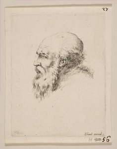 Head of a Bald and Bearded Old Man in Profile, fra Diverse hoder og figurer Diverses ..., 1650. av Stefano della Bella