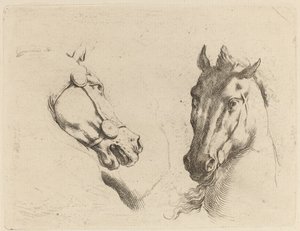 Leder for en hest sett i profil og i trekvart. av Stefano della Bella