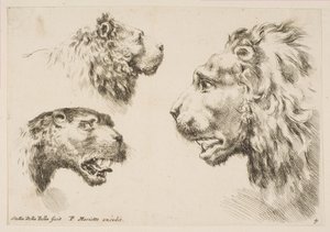 Hoder til tre løver, ca. 1641. av Stefano della Bella