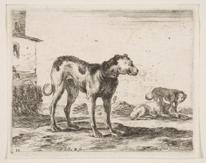 Plate 11: hunder, fra Diverse dyr Diversi animali, ca. 1641. av Stefano della Bella