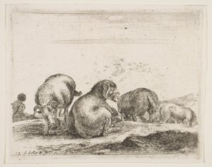 Plate 12: sau og vær på beite, fra Diverse dyr Diversi animali, ca. 1641. av Stefano della Bella