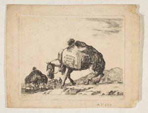 Plate 1: en pakkehest, fra 