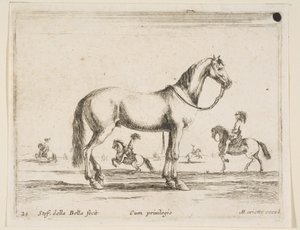 Plate 21: hest, fra Diverse dyr Diversi animali, 1641. av Stefano della Bella
