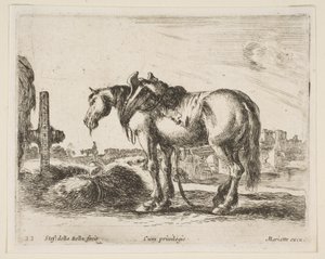 Plate 22: kjerrehest, fra Diverse dyr Diversi animali, ca. 1641. av Stefano della Bella