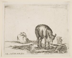 Plate 24: esler, fra Diverse dyr Diversi animali, ca. 1641. av Stefano della Bella