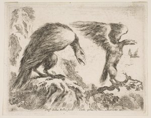 Plate 2: ørn og ørn, fra Diverse dyr Diversi animali, ca. 1641. av Stefano della Bella