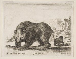 Plate 4: bjørn, fra 