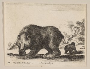 Plate 4: bjørn, fra 