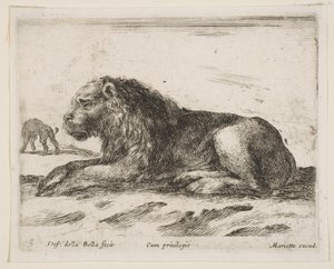 Plate 5: liggende løve, fra Various animals Diversi animali, 1641. av Stefano della Bella