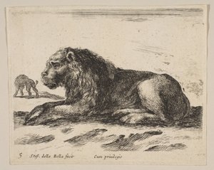 Plate 5: liggende løve, fra Diverse dyr Diversi animali, ca. 1641. av Stefano della Bella