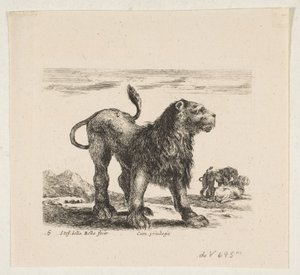 Plate 6: løve, fra 'Various animals' Diversi animali, ca. 1641. av Stefano della Bella