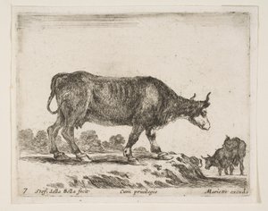Plate 7: okse, fra Diverse dyr Diversi animali, ca. 1641. av Stefano della Bella