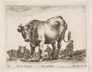 Plate 8: ku, fra Diverse dyr Diversi animali, ca. 1641. av Stefano della Bella