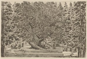 Det bebodde treet, sannsynligvis 1653. av Stefano della Bella
