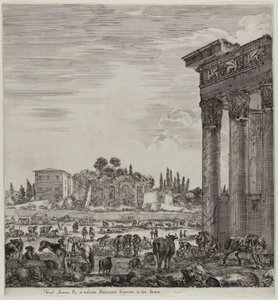 Antonins tempel og Campo Vaccino av Stefano della Bella