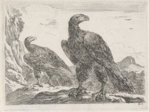 To ørner med hodet til høyre Eagles (serietittel) av Stefano della Bella