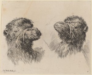 To kamelhoder av Stefano della Bella
