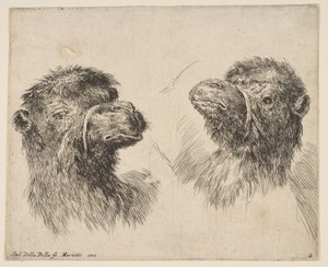 To kamelhoder, ca. 1641. av Stefano della Bella