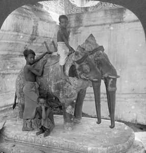 Trehodet elefant som vokter et fristed, Arakan Pagoda, Mandalay, Burma, 1908.