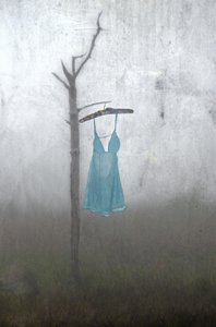  av Steven Gibson