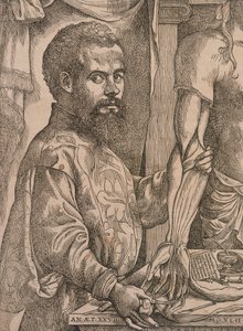 Andreas Vesalius dissekerer musklene i underarmen til et kadaver, 1543. av Steven van Calcar