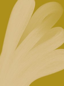  av Studio Palette