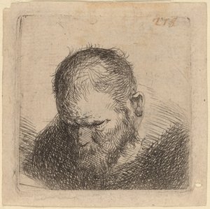Skjeggete mann ser ned av Studio of Rembrandt van Rijn