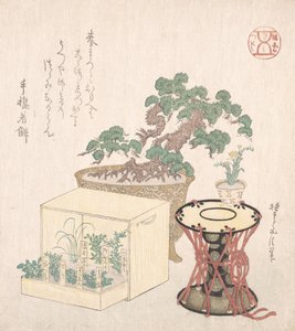 Pottet furutre, tromme og syv urter plantet i en boks, 1700-1900-tallet., 1700-1900-tallet. av Sunayama Gosei