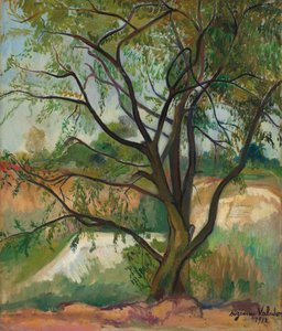 Treet, 1912.
