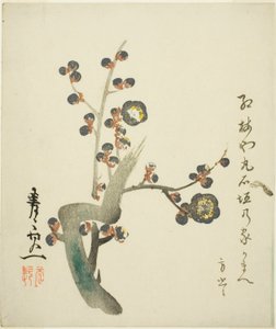  av Suzuki Kiitsu