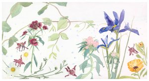  av Suzy Fasht