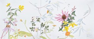  av Suzy Fasht
