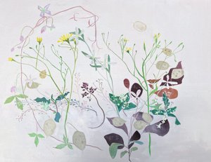  av Suzy Fasht