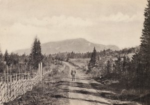Sverige / Sverige: Jamtland, Areskutan Fran Undersaker (s/hv foto) av Swedish Photographer